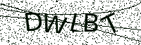 L’image captcha