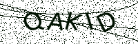 L’image captcha